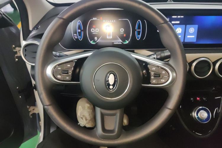 Used ORA Black Cat 2022 351 km Range Luxury Version Lithium-Ion Battery
