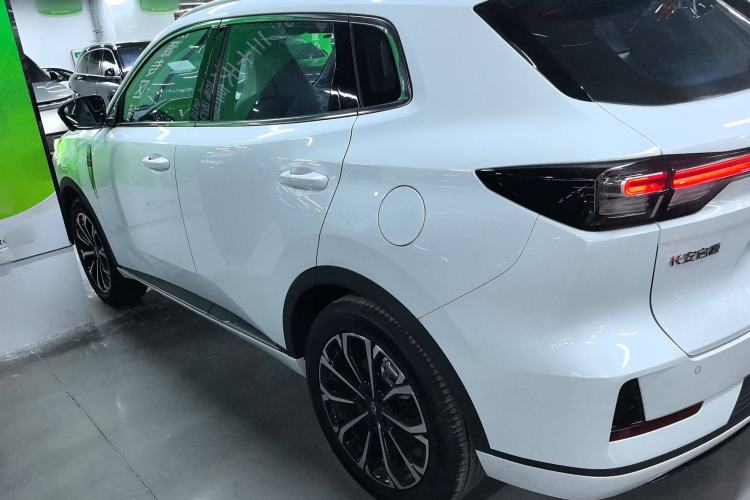 Used  Q05 2025 Truly Delicious Version 125 Deluxe Edition
