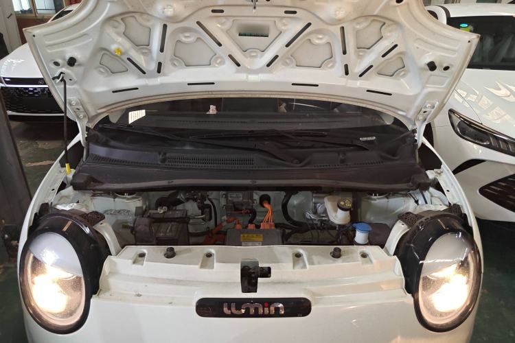 Used  Lumin 2023 205km Xiangqin Version
