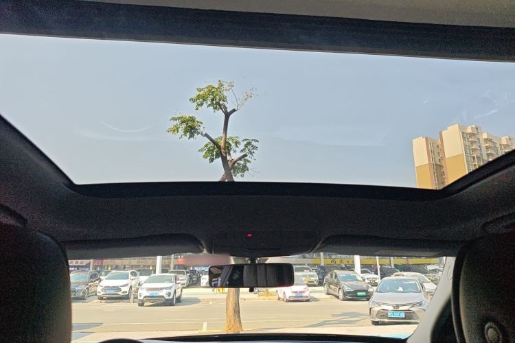 Used Mercedes-Benz C-Class 2019 C 260 L Sport Edition
