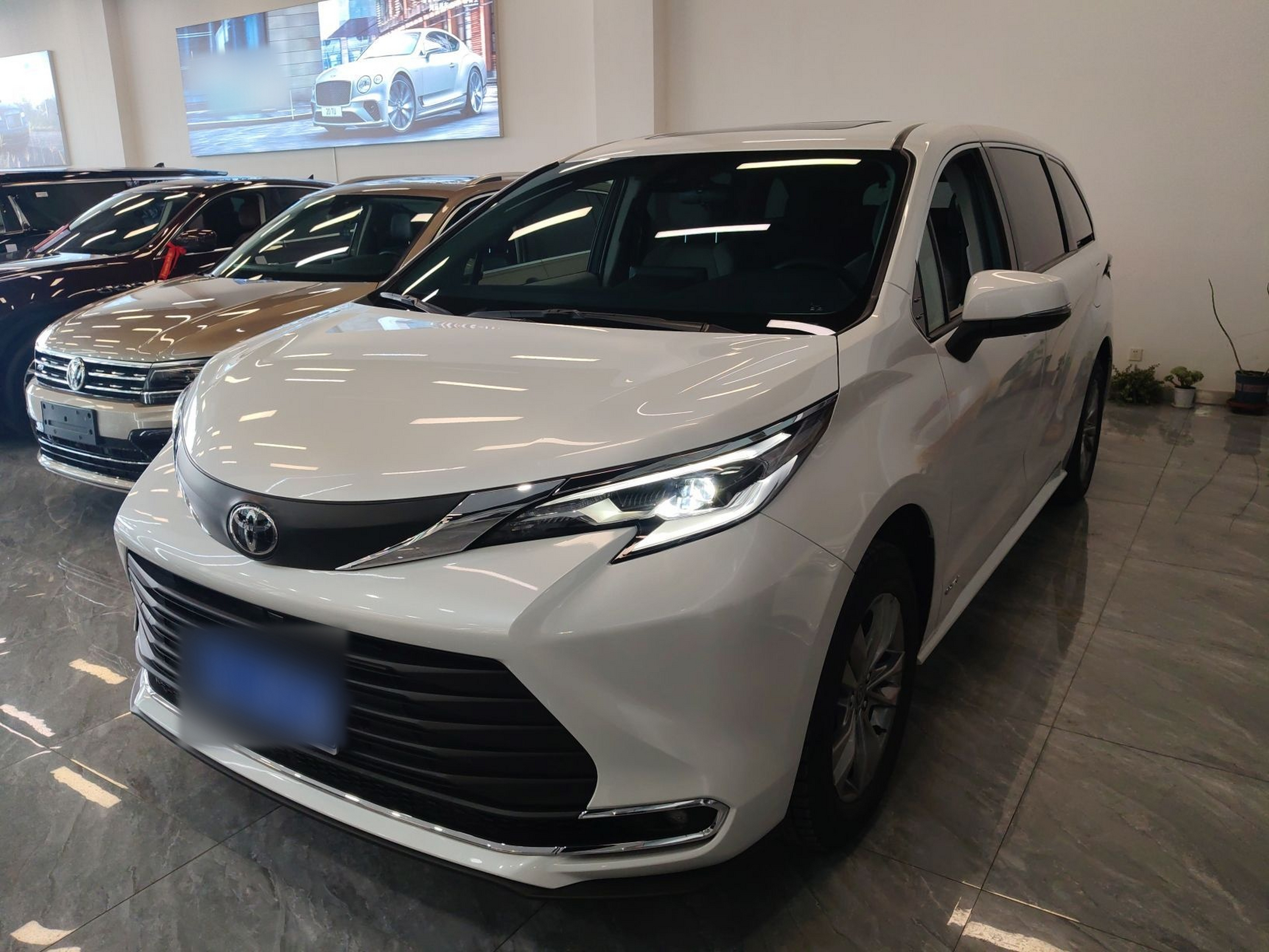 تحت مقدمة السيارة