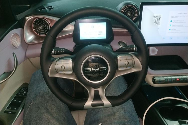 Used BYD Dolphin 2023 420 km Free Version