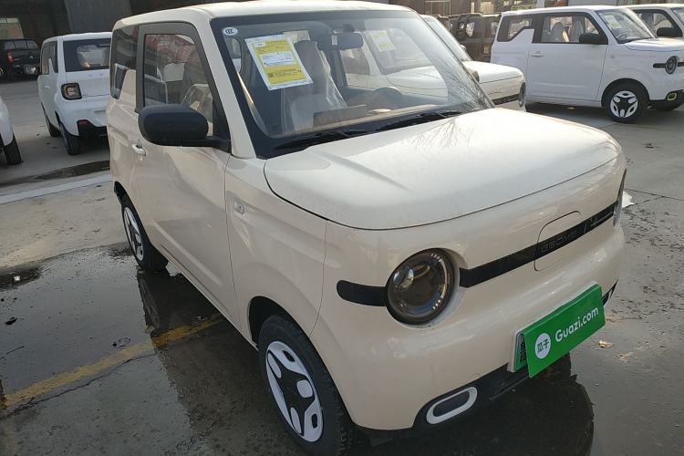 Used  Panda 2025 210 km – Yuanqi Bear
