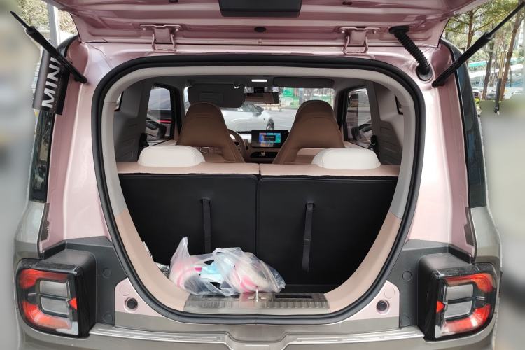 Used  Panda 2023 Panda Mini 200km Endurance Bear