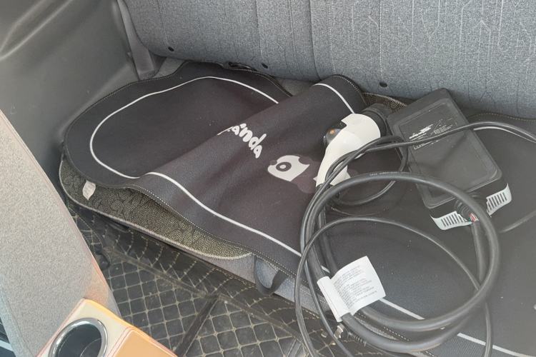 Used  Panda 2023 Panda Mini 200km Endurance Bear
