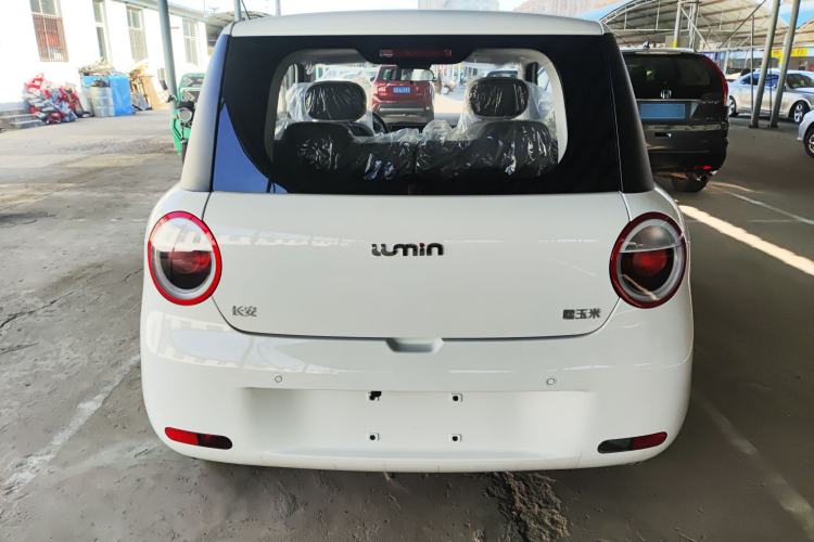 Used  Lumin 2025 205 km Xiangqin Version
