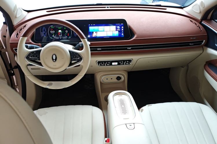 Used ORA Good Cat 2023 401 km Standard Range Luxury Version Lithium Iron Phosphate