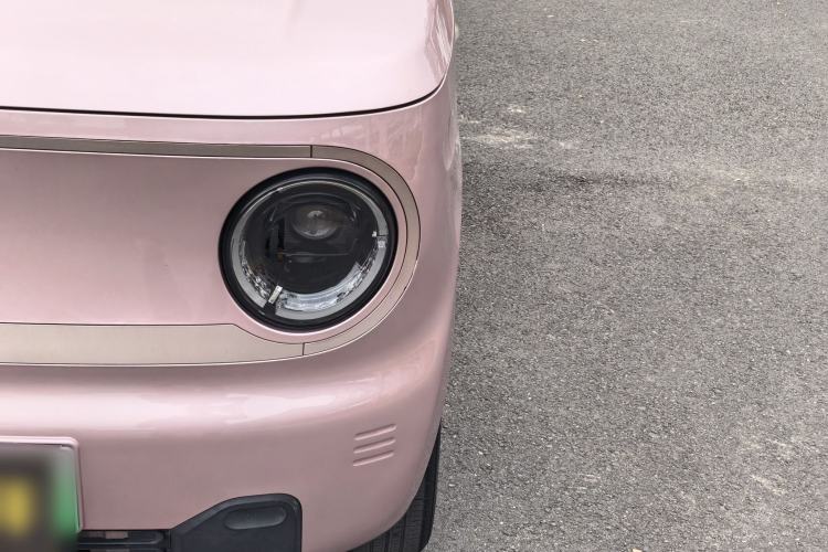 Used  Panda 2023 Panda Mini 200km Endurance Bear
