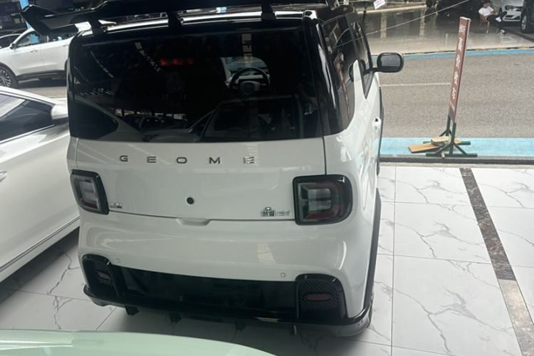 Used  Panda 2024 200km Panda Kart
