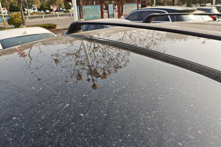 Used Li Auto L8 2023 Pro Model