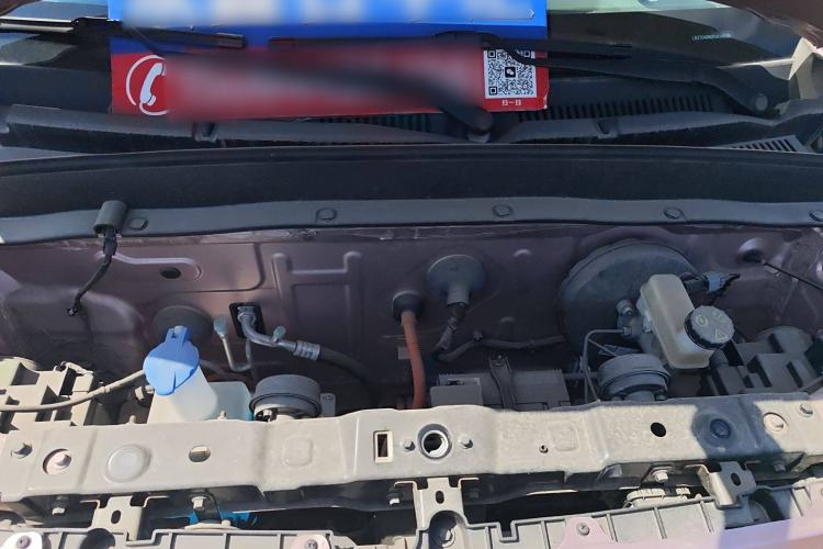 Used  Panda 2023 Panda Mini 200km Dynamic Bear
