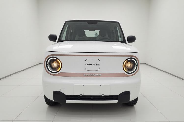 Used  Panda 2024 Panda Mini 200km Endurance Bear
