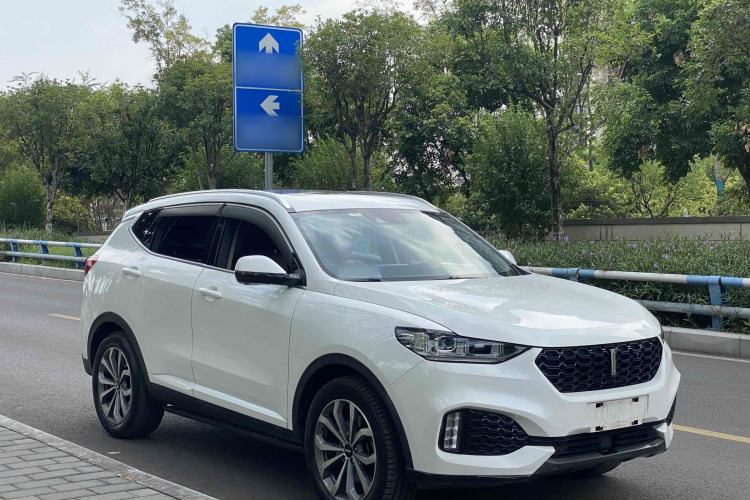 Used Wey VV6 2019 2.0T Two-Wheel-Drive Ultra-Luxury Version China VI Standard
