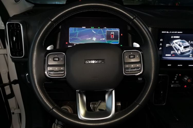 Used Haval DARGO 2021 2.0T DCT 4x4 Chinese Rural Dog Edition