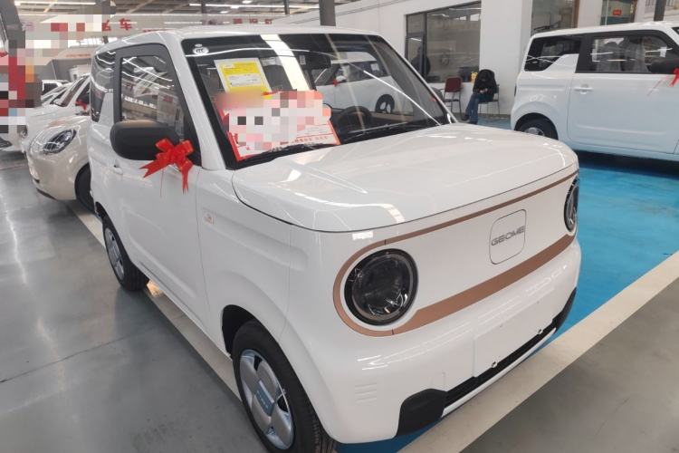 Used  Panda 2024 Panda Mini 200km Endurance Bear
