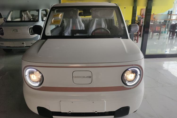 Used  Panda 2024 Panda Mini 200km Longteng PRO Edition
