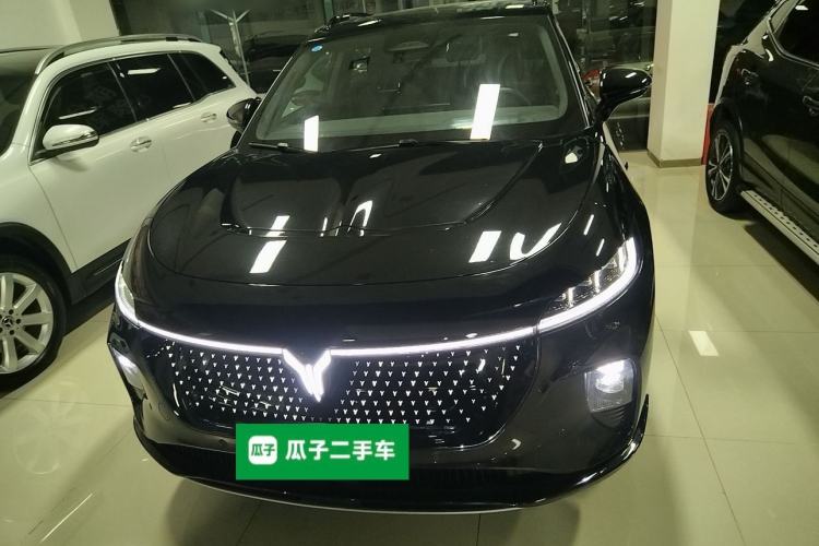 Used VOYAH COURAGE 2024 Four-Wheel Drive Global Edition