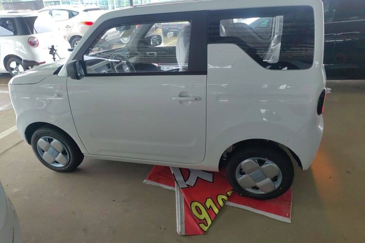 Used  Panda 2024 Panda Mini 200km Endurance Bear
