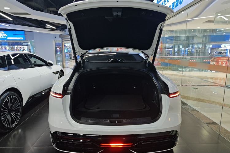 Used  06 2025 Ultra Pure Electric Edition