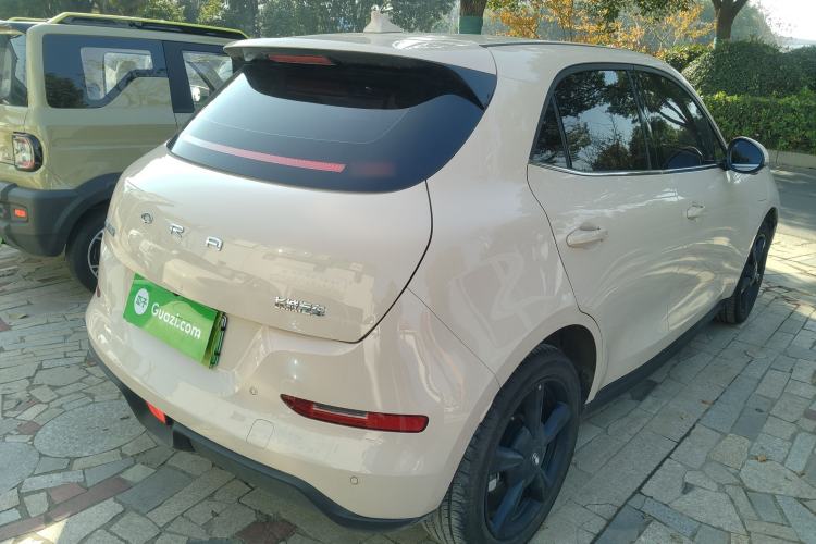 Used ORA Good Cat 2024 401 km Luxury Version
