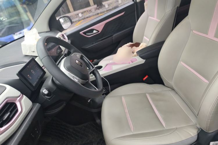 Used SOL E10X 2022 Flower Fairy Design Four-Leaf Clover
