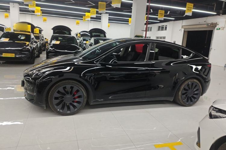 Used Tesla Model Y 2023 High-Performance All-Wheel-Drive Version

