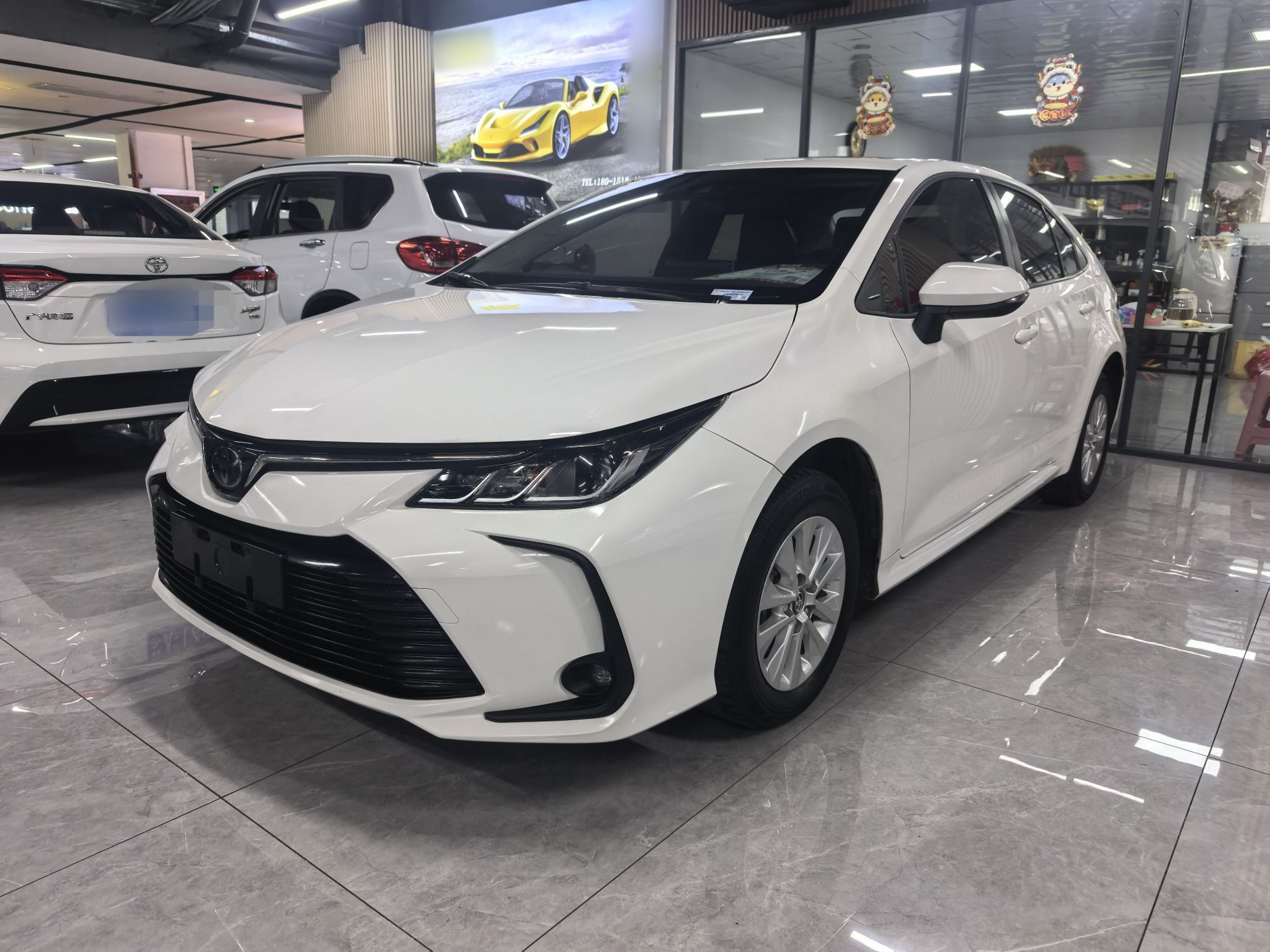 تحت مقدمة السيارة