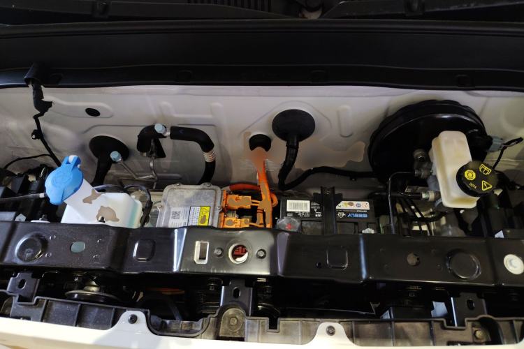 Used  Panda 2024 Panda Mini 200km Endurance Bear
