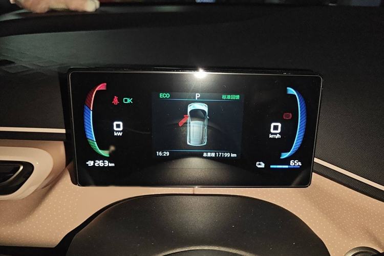 Used BYD Seagull 2023 Flying Edition
