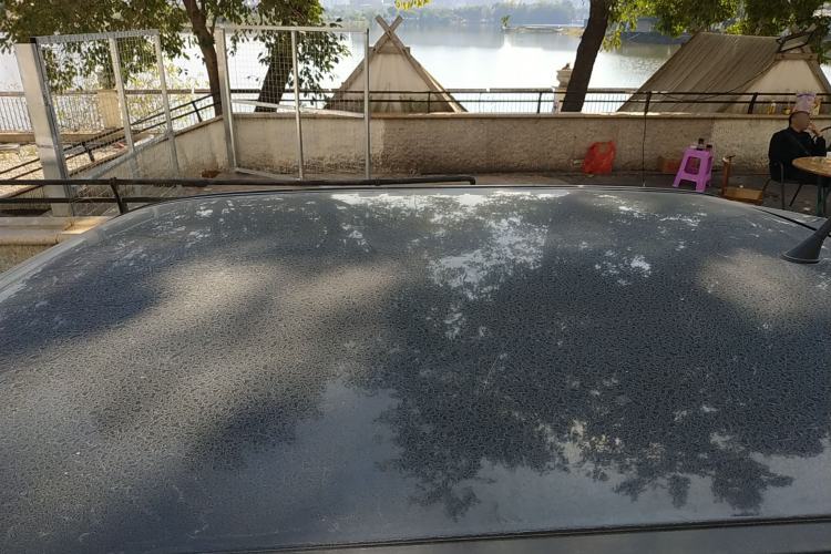 Used Chery QQ Ice Cream 2022 Pudding Model
