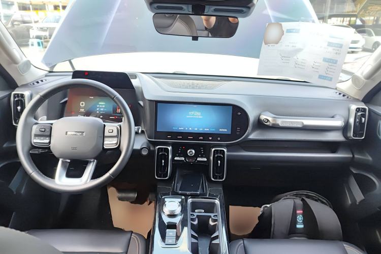 Used Haval DARGO 2022 2.0T DCT 4x4 Chinese Rural Dog Edition
