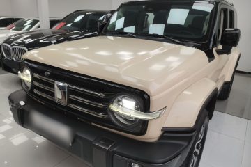 Used Tank 300 2021 City Edition 2.0T—Truly Stylish