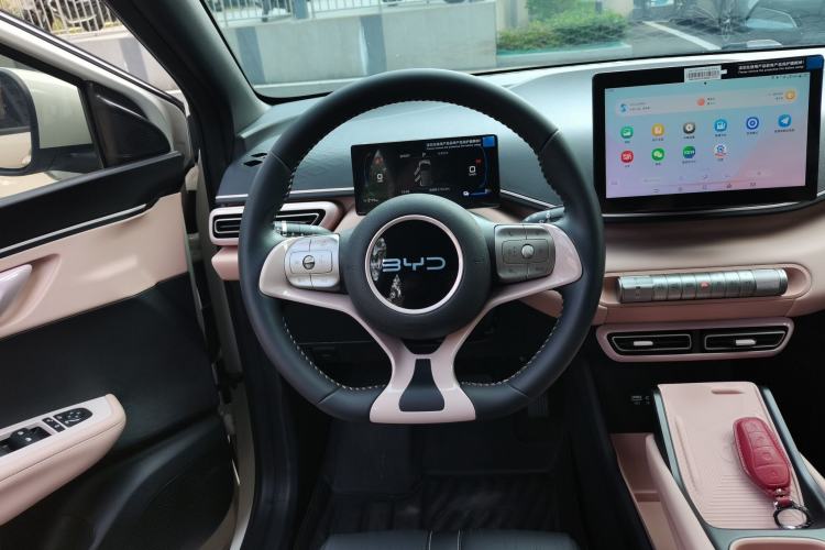 Used BYD Seagull 2024 Honor Edition 305km Freedom Version
