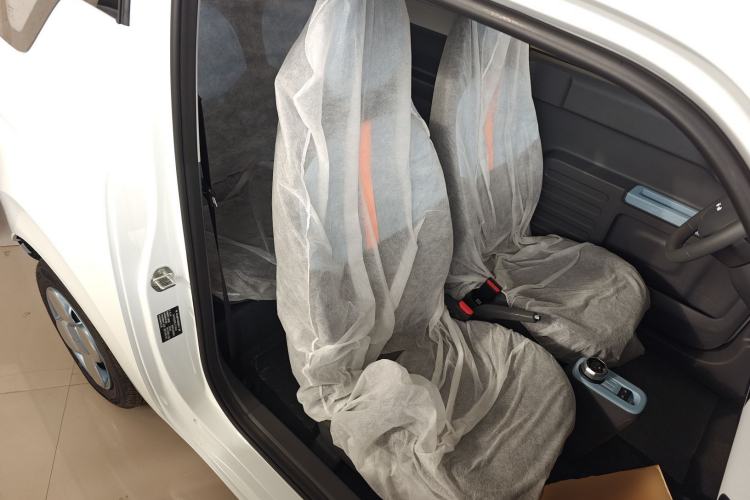 Used  Panda 2024 Panda Mini 200km Endurance Bear