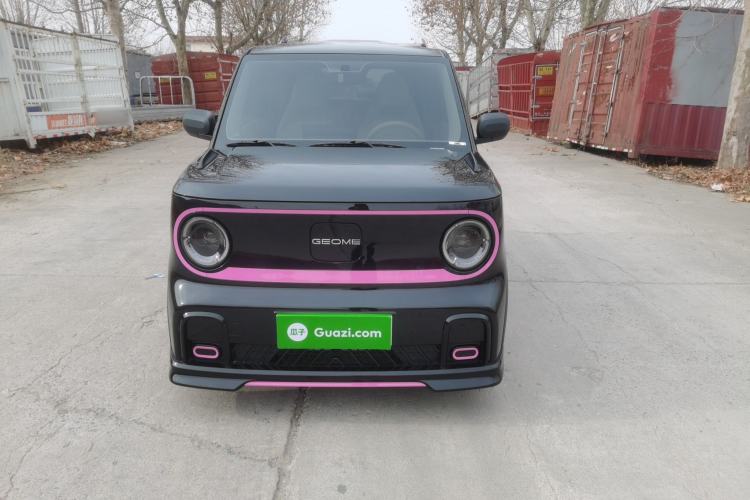 Used  Panda 2024 200km Panda Kart
