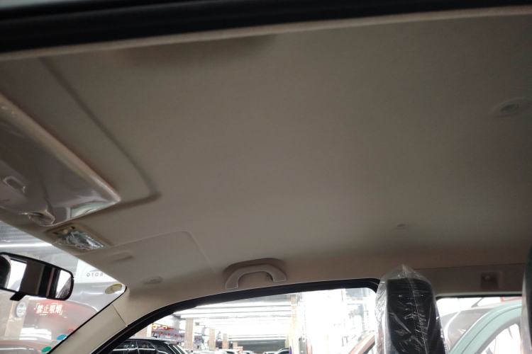 Used  LEOPAARD CS01 EV 2024 Practical Type