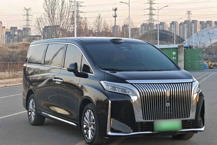 Used Wey Gaoshan 2025 Four-Wheel Drive Alpine 9
