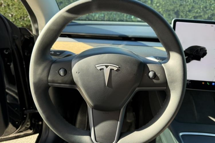 Used Tesla Model Y 2021 Standard Range Rear-Wheel Drive Version
