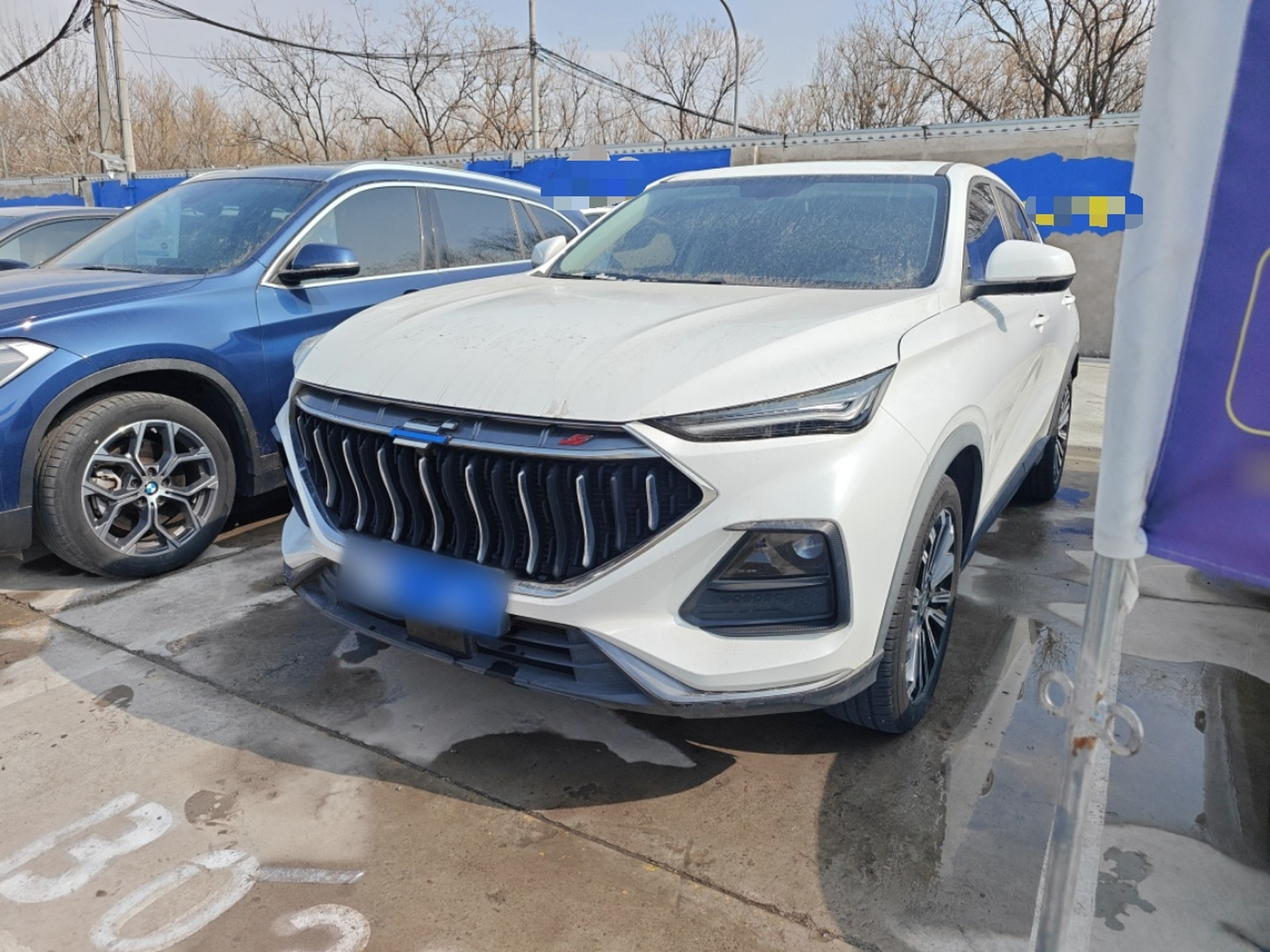 تحت مقدمة السيارة