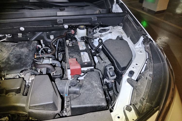 Used Toyota Wildlander 2024 2.0L CVT Two-Wheel Drive Leading Edition