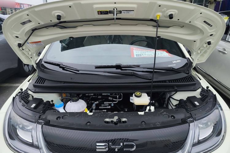 Used BYD Dolphin 2025 420km Free Edition
