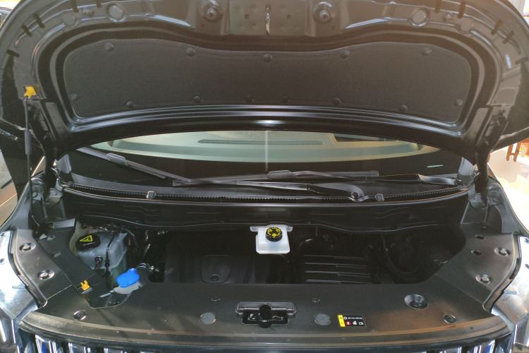 Used Wey Gaoshan 2023 Four-Wheel-Drive Executive Extended Version