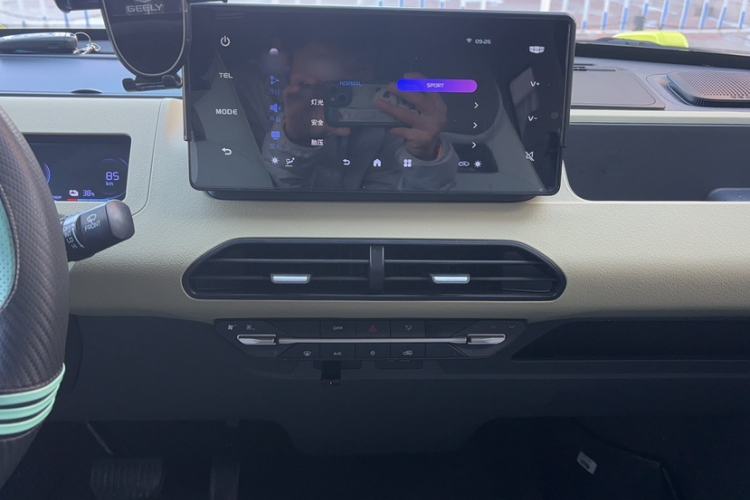 Used  Panda 2024 200km Panda Rider