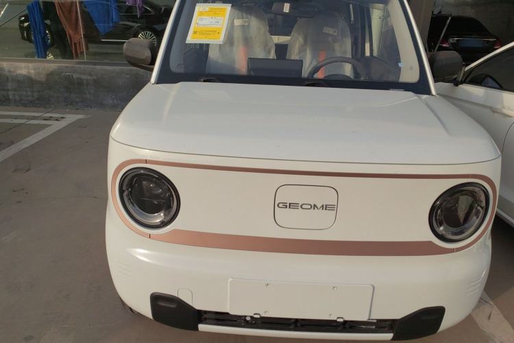 Used  Panda 2024 Panda Mini 200km Endurance Bear