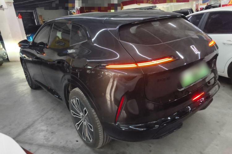 Used  07 2024 Pro Pure Electric Version
