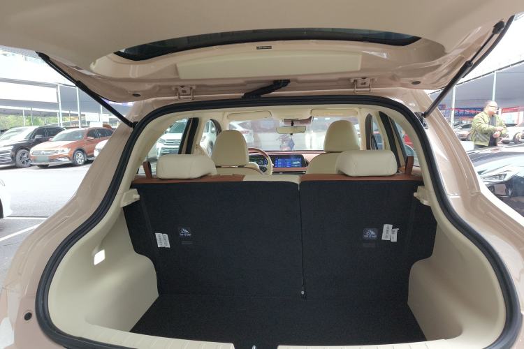 Used ORA Good Cat 2023 401 km Standard Range Luxury Version Lithium Iron Phosphate
