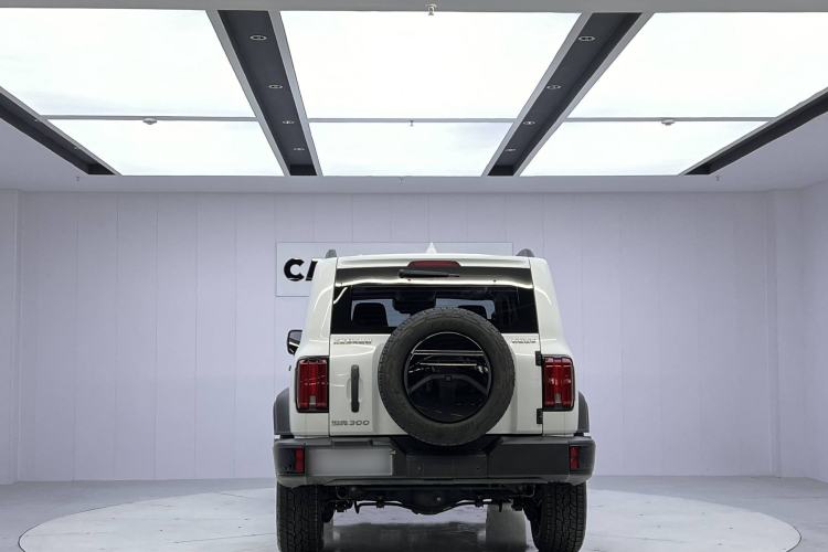 Used Tank 300 2024 2.0T Conqueror
