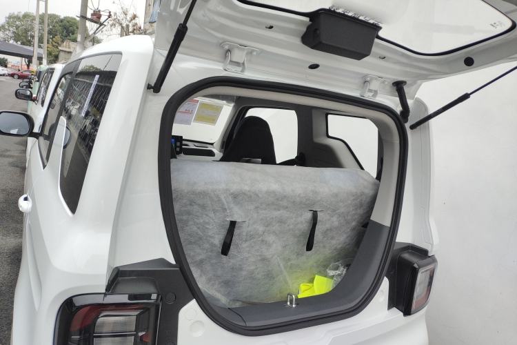 Used  Panda 2024 Panda Mini 200km Endurance Bear
