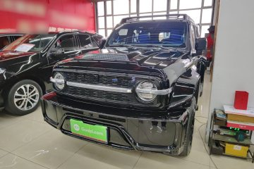 Used Cyberspace Tank 300 2023 2.0T Cyber Knight