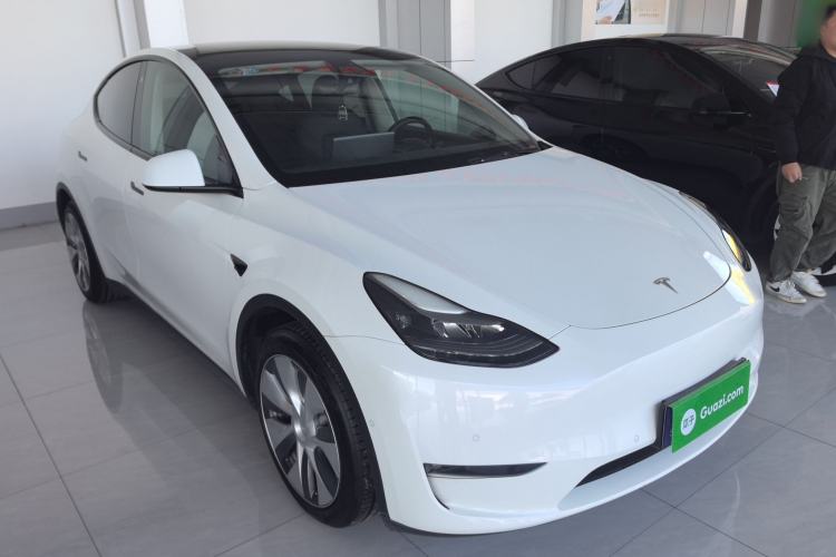 Used Tesla Model Y 2021 Standard Range Rear-Wheel Drive Version

